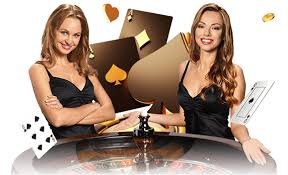 667 bet com